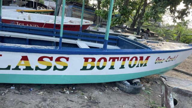 Rasta-Mikey-Sons-Glass-Bottom-Boat-Tours-1.jpg