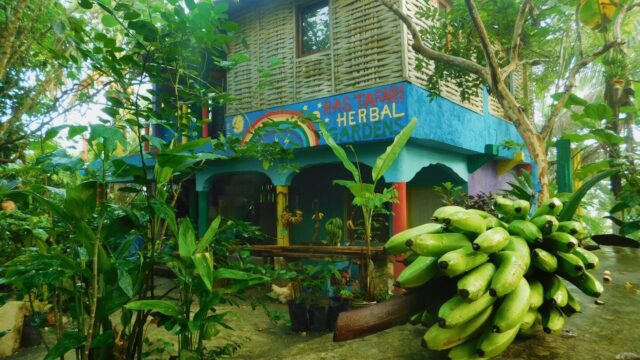 Rastafari-Herbal-Gardens-2.jpg