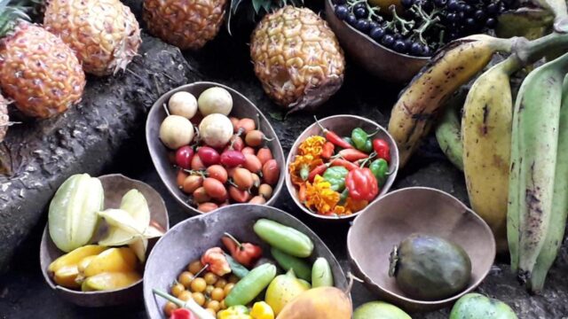 Rastafari-Herbal-Gardens-3.jpeg