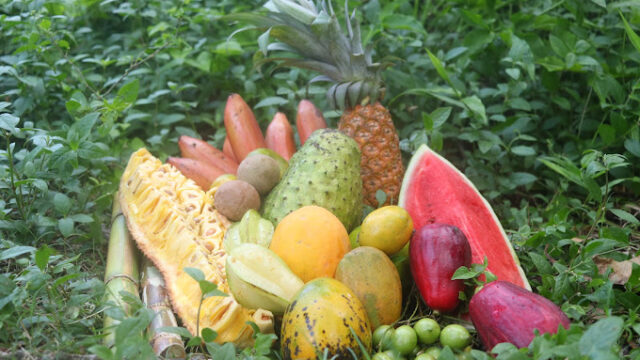 Taste-of-Jamaica-Tours-2.jpg