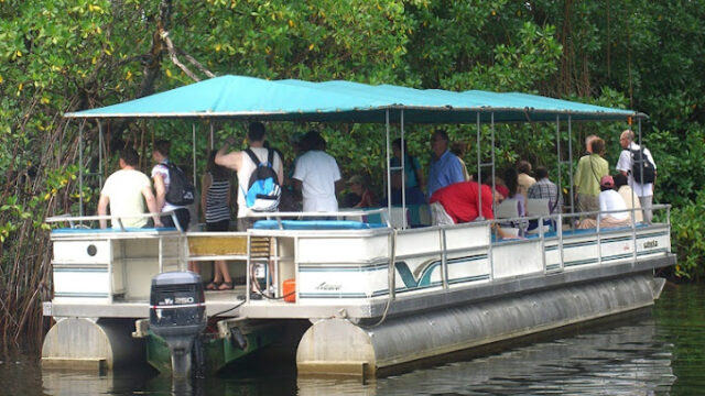 Toshic-Tours-Jamaica-1.jpg