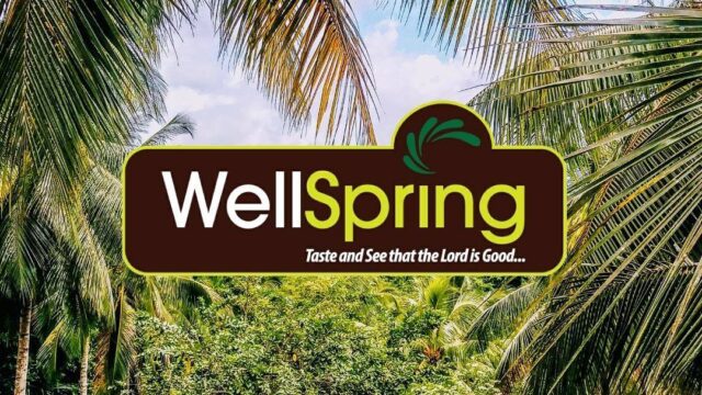 WellSpring-Raw-Juices-1.jpg