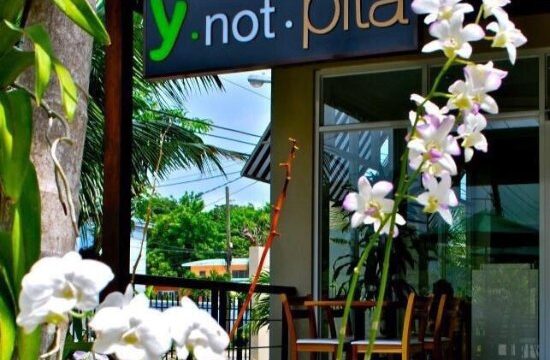 Y-not-Pita-2.jpg