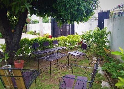 Yard Style 2