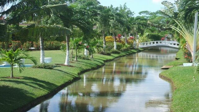 bridge-palm-hotel-1.jpg
