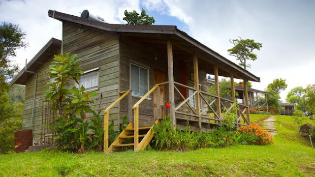 holywell-park-jamaica-3.jpg