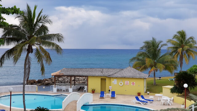 sea-palms-2.jpg