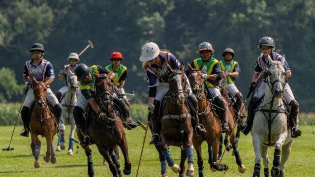 st-ann-polo-club-jamaica-3.jpg