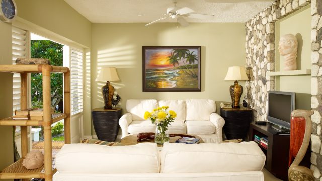 A&L Villa Jamaica 2