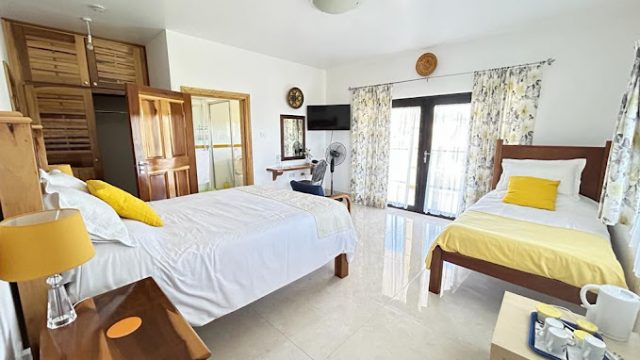 allenview 1