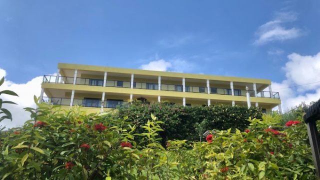 allenview 3