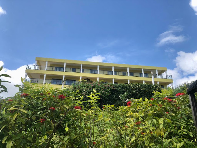 allenview 3