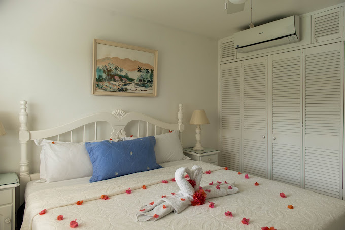 Dolphin Beach Suite 1