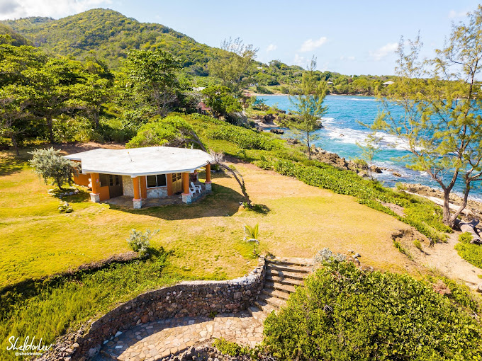 Blessings At Strawberry Fields 2