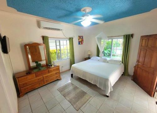 Green’s Palace Jamaica 1