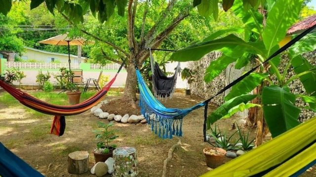 Green’s Palace Jamaica 2