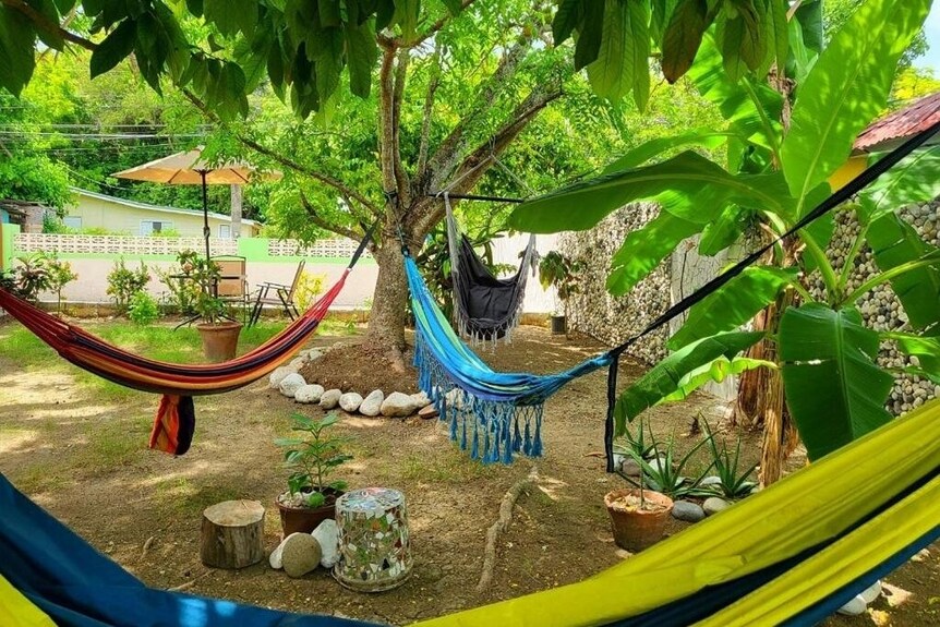 Green’s Palace Jamaica 2