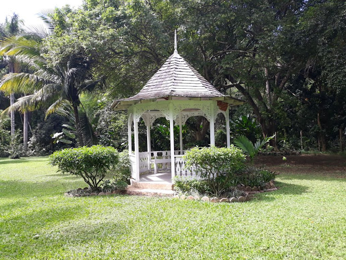 Inn at Shaw Park Gardens & Waterfalls 5