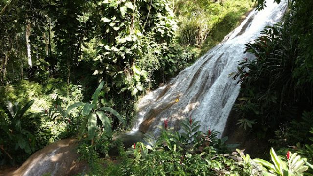 Inn at Shaw Park Gardens & Waterfalls 8