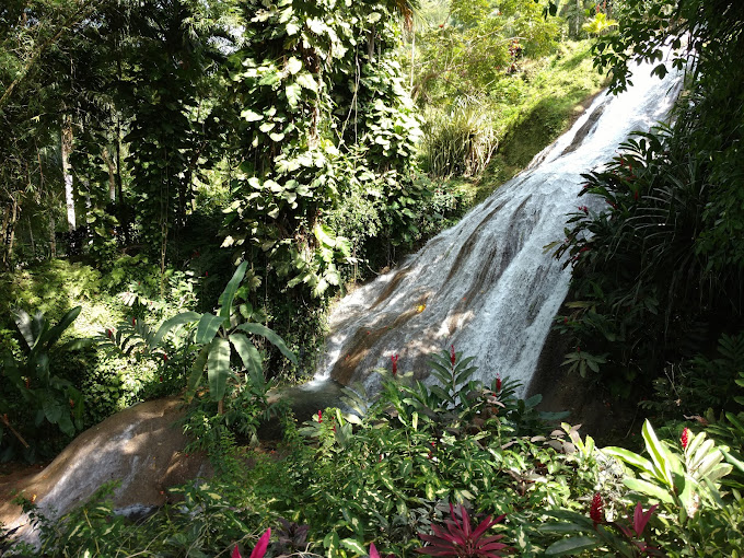 Inn at Shaw Park Gardens & Waterfalls