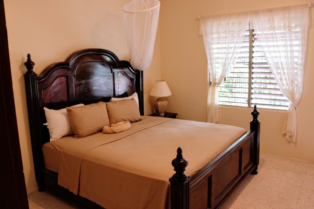 JH Tropical Arcadia 2