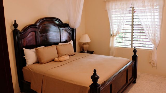 JH Tropical Arcadia 2