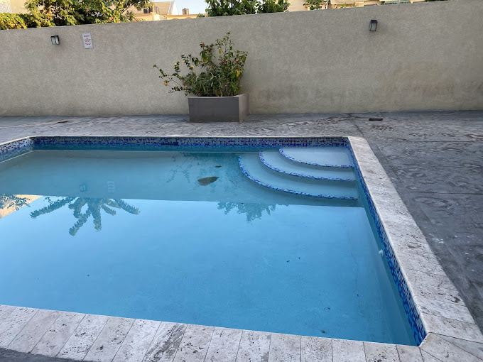 KINGSTONGO @Harloe’s