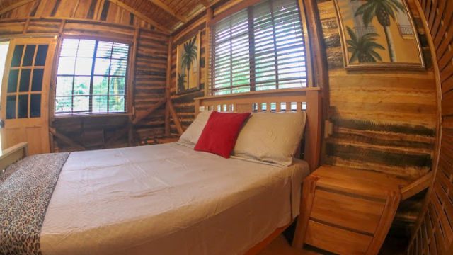 Log Thirty-Tree (Treehouse) 3