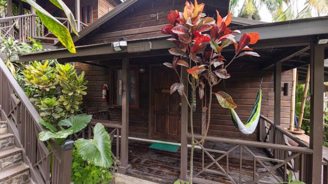 Serendipity Holistic Resort and Spa 1