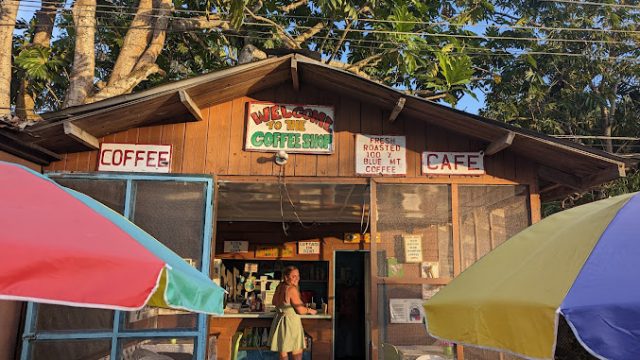 Blue Mountain Coffee Shop 1