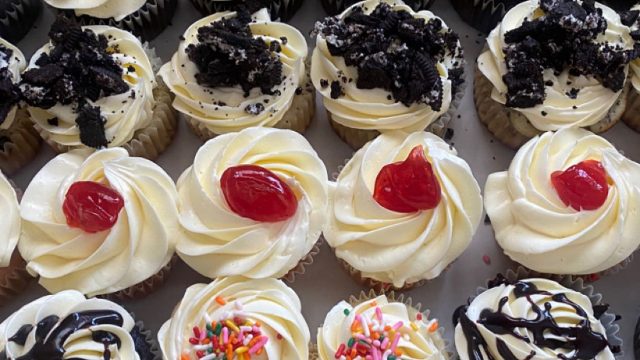 Mikky tasty treats 2