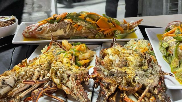 Sharkies Seafood Restaurant 4