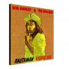 Rastaman Vibration Album Cover on Canvas Rastaman Vibration Album Cover on Canvas