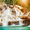Dunn’s River Falls with Jerk Lunch