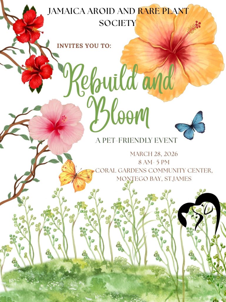 Rebuild-and-Bloom-Offical-Poster-22