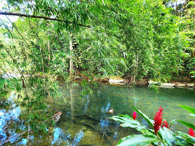 animal-farm-and-nature-reserve-1