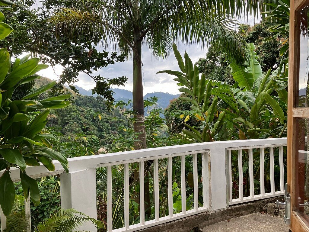 Bluemountview Guesthouse 3