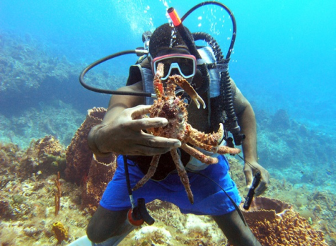 Captains Watersports 1