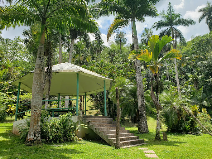 Castleton Botanical Gardens 3