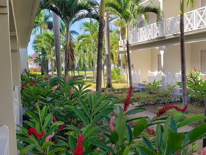 Coral Seas Beach Resort 2