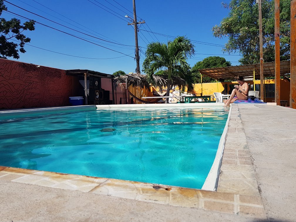 Deez Bed & Breakfast - Kingston 4