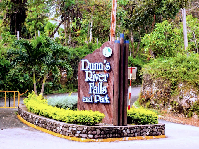 Dunn's River Falls 23