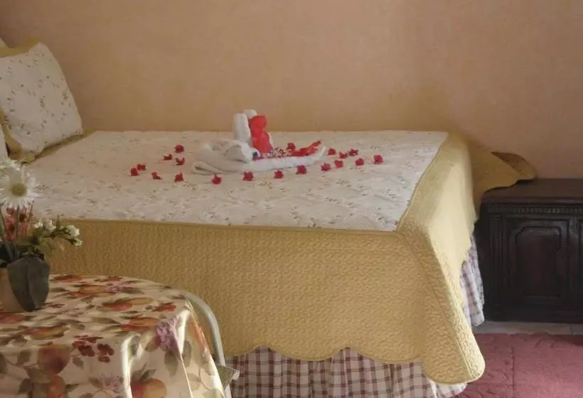 Executive Shaw Park 3