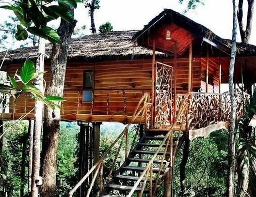 Fern Forest Eco Village 3