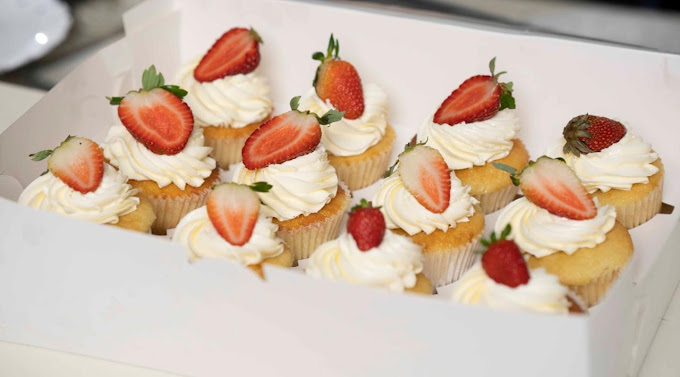 Frosted by Danielle Plummer 1