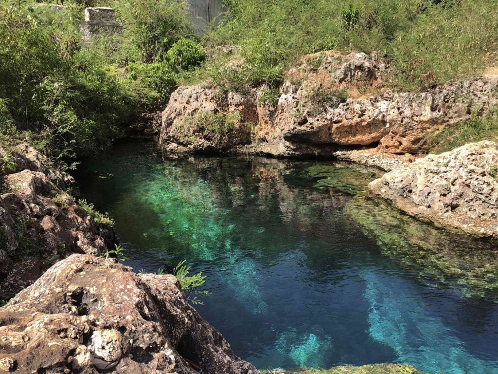 Gut River 2