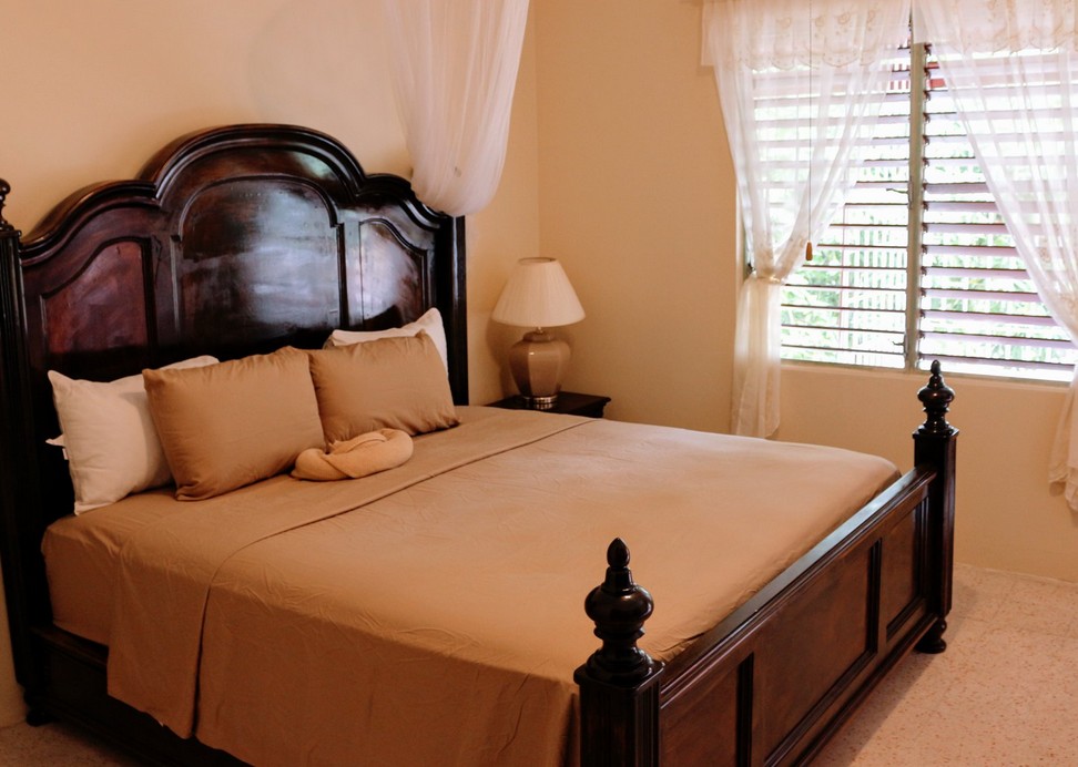 JH Tropical Arcadia 2