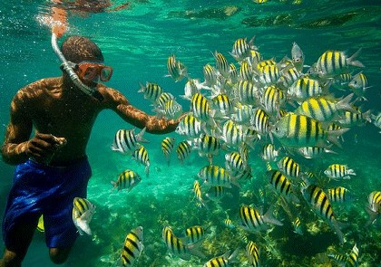 Jamaica Scuba Divers 4