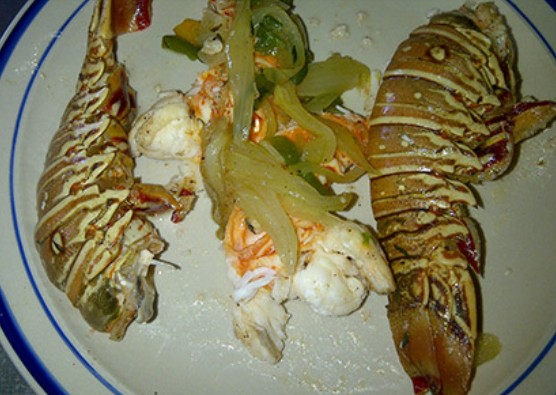 Junction Guest House 2