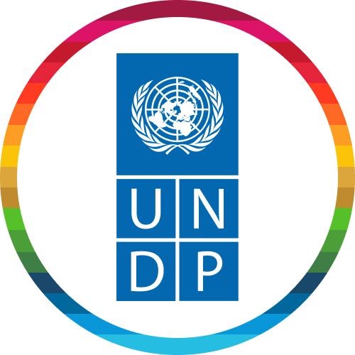 UNDP 1